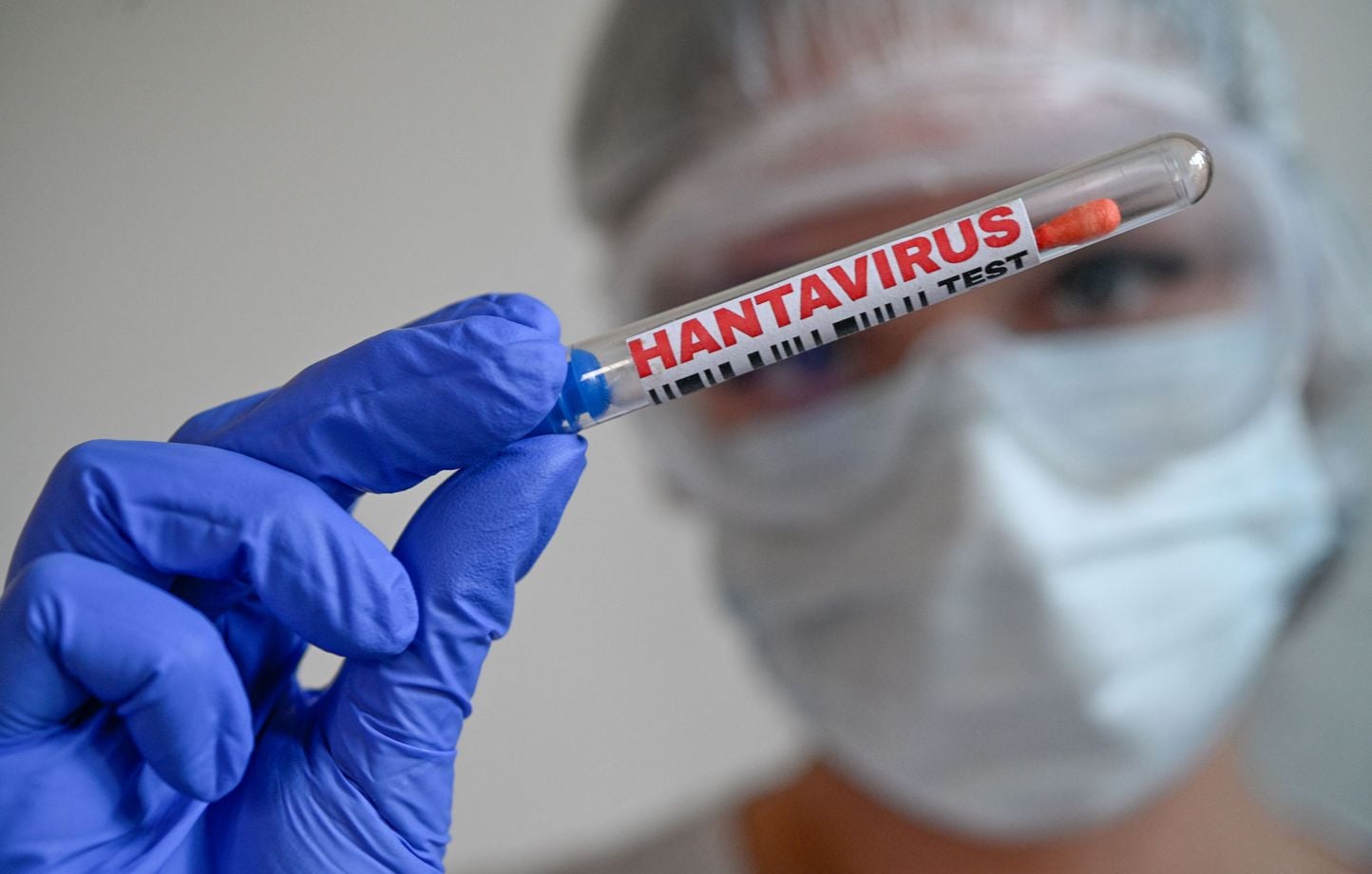 Hantavirus : Leo Schilperoord, probable « patient zéro » de l'épidémie.