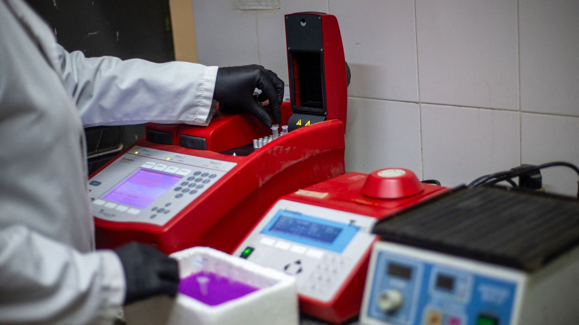 Hantavirus : l'UE accroît l'échange d'informations malgré un risque "très faible"