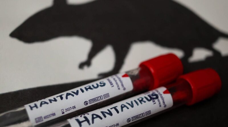 Hantavirus : Prudence face aux applications prétendant détecter le virus