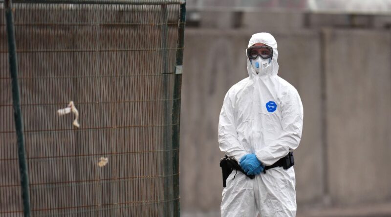 Hantavirus : Quarantaine imposée au personnel d'un hôpital néerlandais après des erreurs