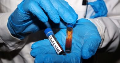 Hantavirus : Quarantaine renforcée à l'hôpital pour cas contacts.