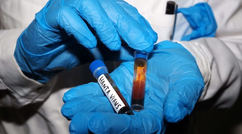 Hantavirus : Quarantaine renforcée à l'hôpital pour cas contacts.