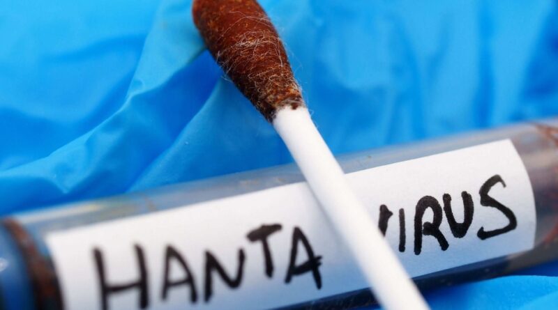 Hantavirus : Un Français évacué, un Américain positif au virus.