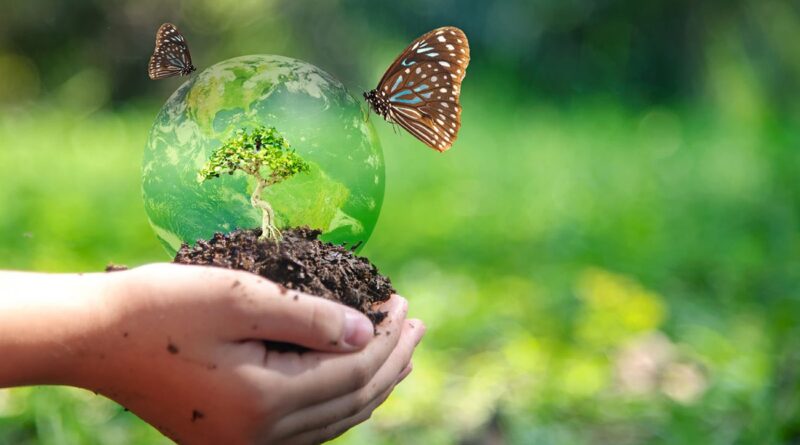 Journée mondiale de la biodiversité : La santé humaine menacée.