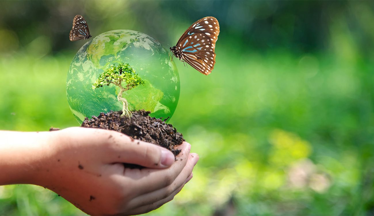 Journée mondiale de la biodiversité : La santé humaine menacée.