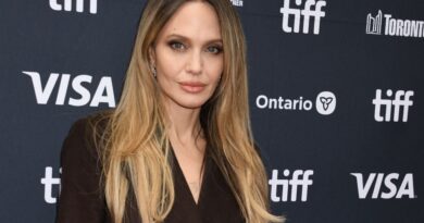 La justice tranche en faveur d'Angelina Jolie contre Brad Pitt pour Miraval.