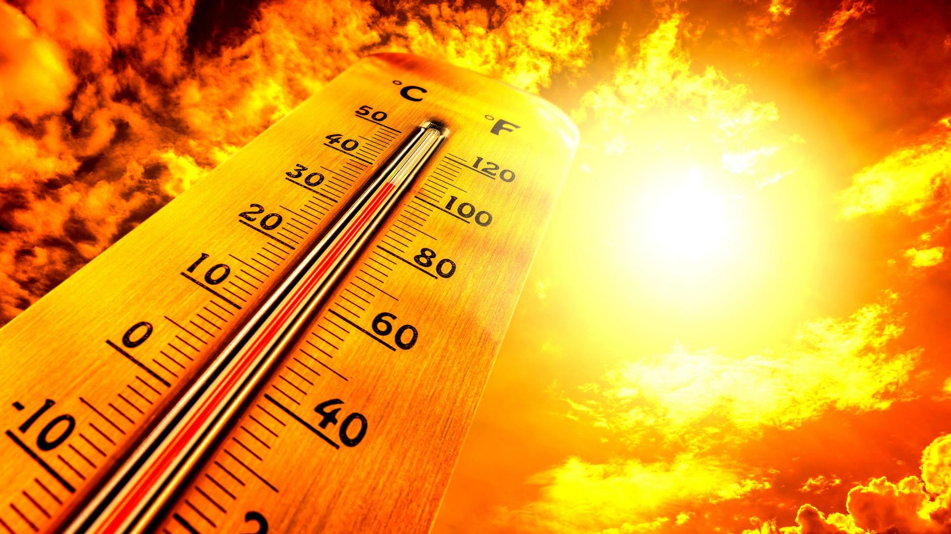 La météo impacte 70% de l'économie mondiale : achats, finances, bière.