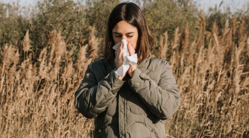 La saison des pollens de graminées a commencé en Belgique.