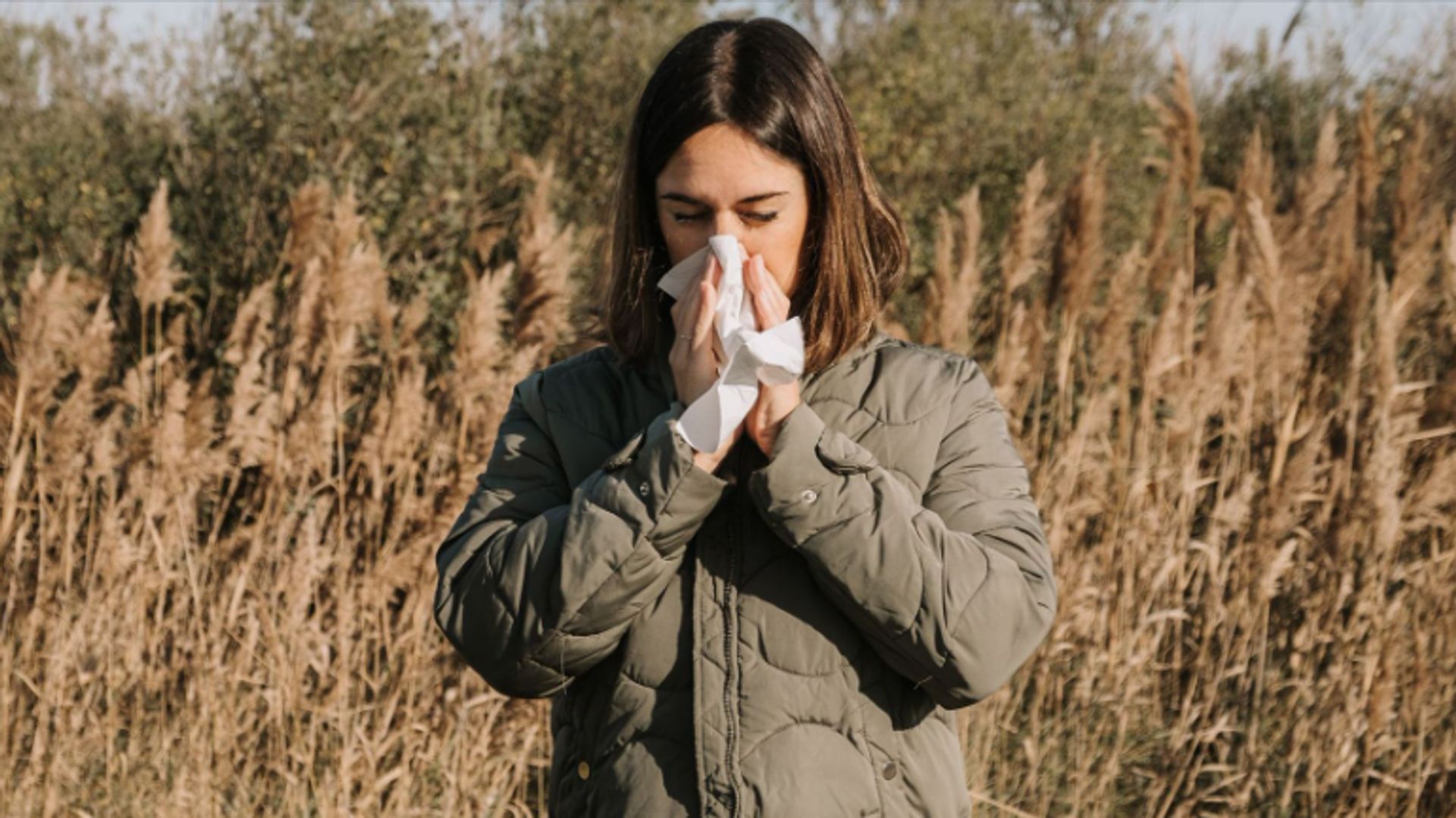 La saison des pollens de graminées a commencé en Belgique.