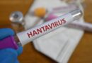 Le Canada enregistre son premier cas d'Hantavirus sur son territoire.