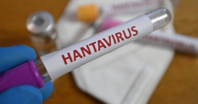 Le Canada enregistre son premier cas d'Hantavirus sur son territoire.