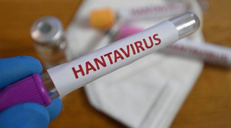 Le Canada enregistre son premier cas d'Hantavirus sur son territoire.