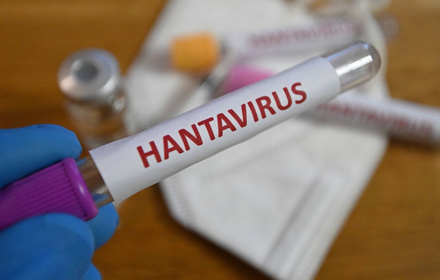 Le Canada enregistre son premier cas d'Hantavirus sur son territoire.