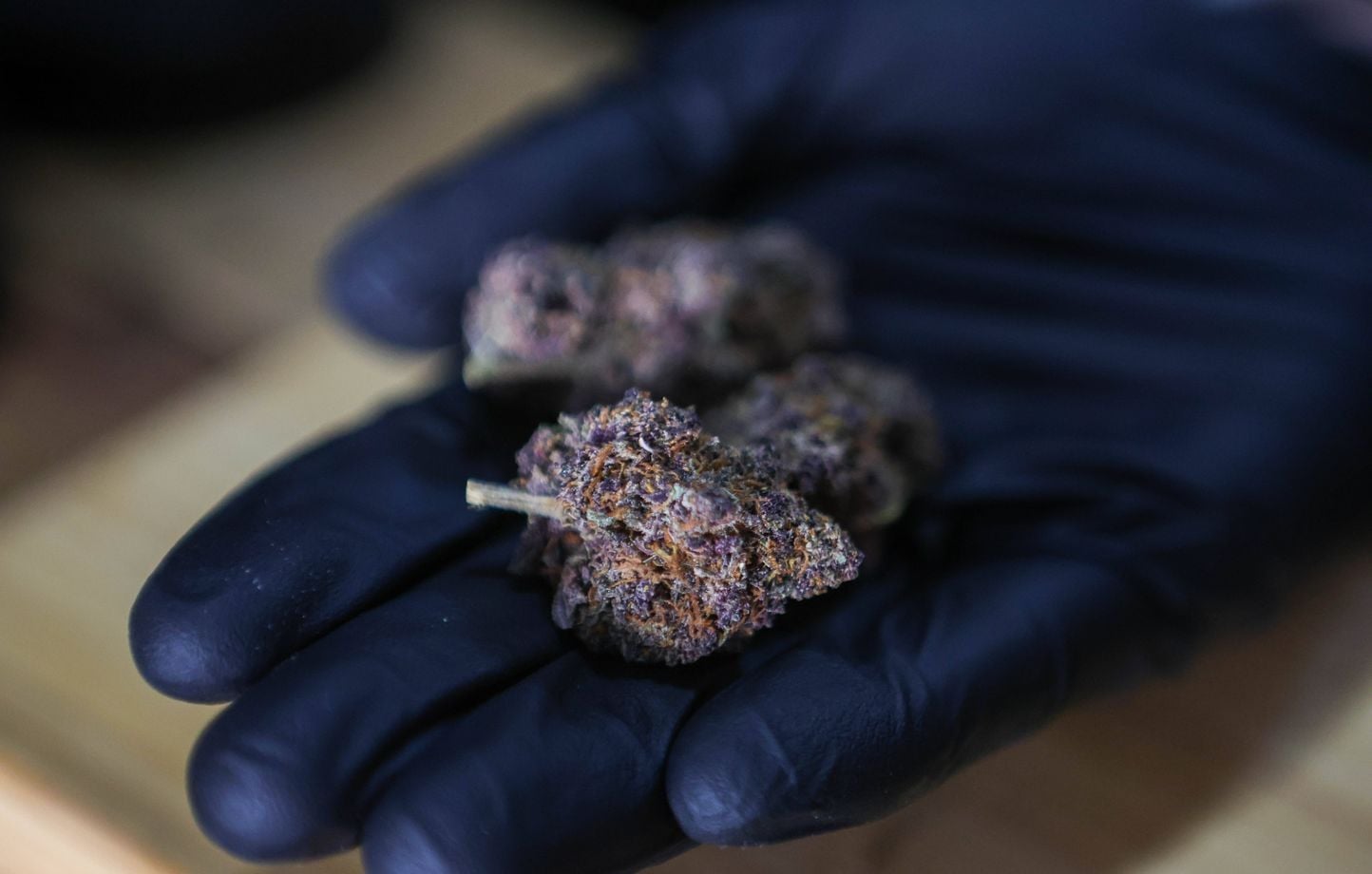 Le CBD alimentaire interdit dès le 15 mai : tisanes, huile, bonbons...