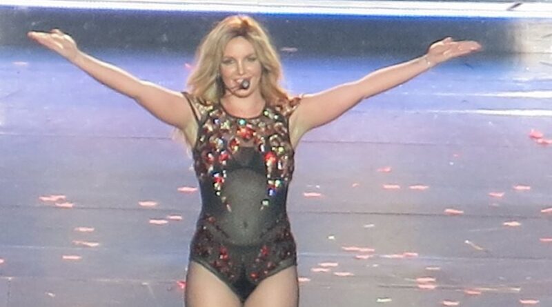 Le rapport de Britney Spears révèle des détails sur sa conduite imprudente.