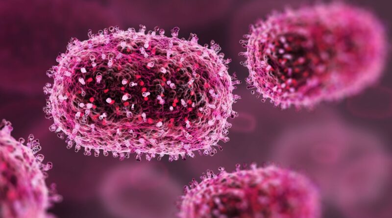 Le virus mpox progresse : réunion des infectiologues ce mercredi.