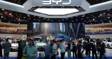 Les constructeurs automobiles chinois s'imposent en Europe : jusqu'où ?