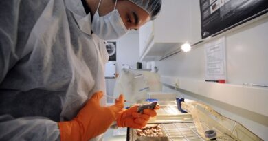 Les hantavirus : maladies humaines transmises par des rongeurs.