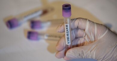 L’hantavirus ne suscite pas une complosphère hantée par le Covid