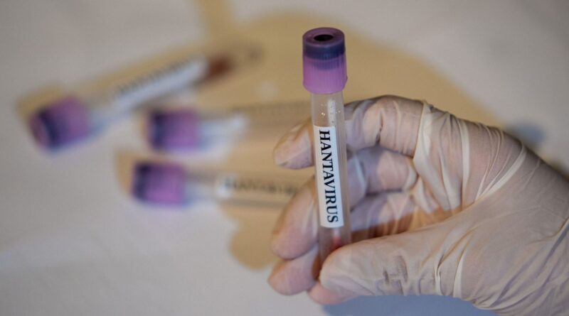 L’hantavirus ne suscite pas une complosphère hantée par le Covid