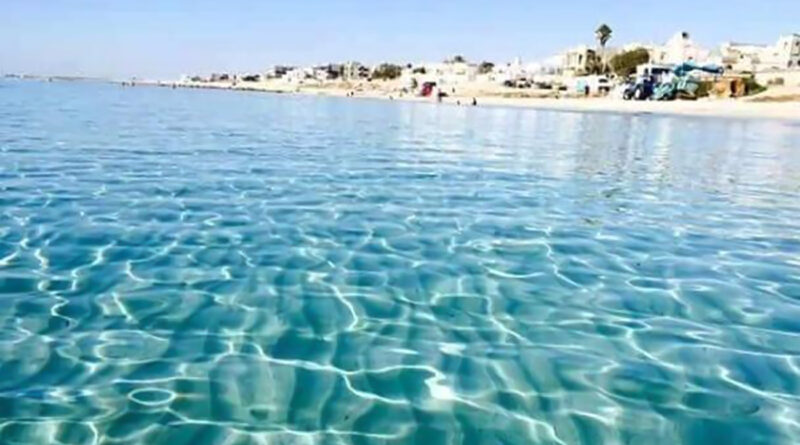 Littoral tunisien : le WWF appuie « Adopte une plage »