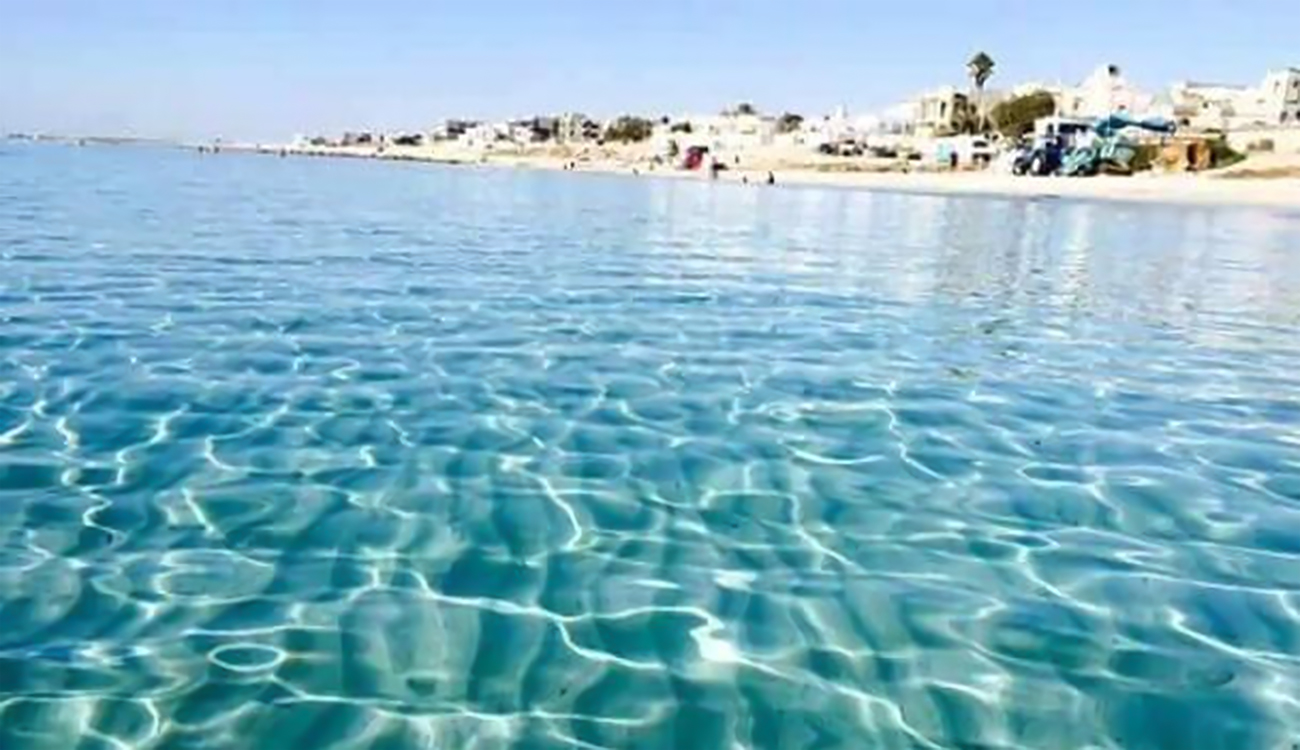 Littoral tunisien : le WWF appuie « Adopte une plage »