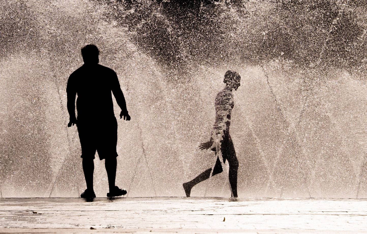 L’OMS et l’Europe alertées sur les conséquences du changement climatique