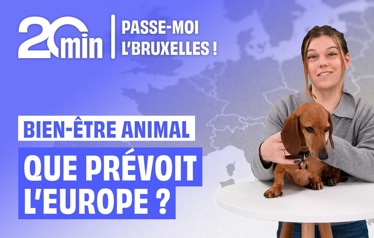 L'Union européenne protège nos animaux de compagnie « hypertypés ».
