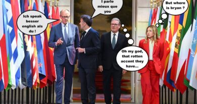 Macron, Meloni, Sanchez, Merz : qui ne parle pas mieux anglais ?