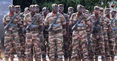 Mali : 10 civils tués par des drones lors d'un mariage