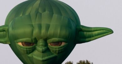 Narcotrafic : Le « chat », chef présumé des « Yoda », en procès à Marseille