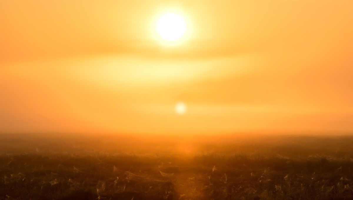 Niño 2026 : Été marqué par des canicules fréquentes et intenses !