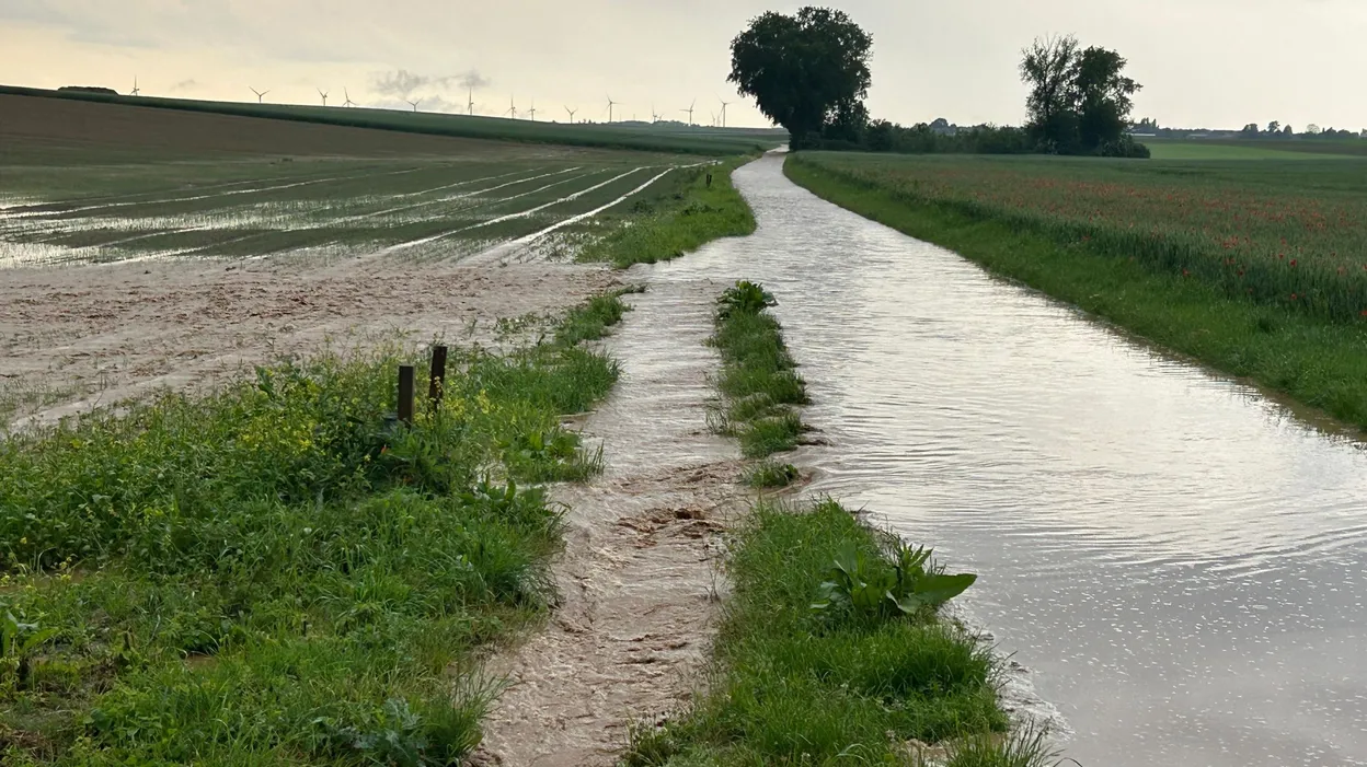 Orages et inondations : pompiers interviennent en province de Liège, avertissement jaune de l'IRM dans le sud du pays.