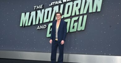 Pedro Pascal incognito à Disneyland surprend inoubliablement des visiteurs
