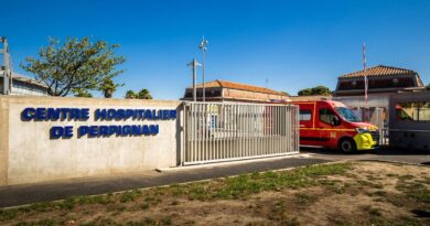 Perpignan : Deux hommes fuient après avoir blessé une femme par balle
