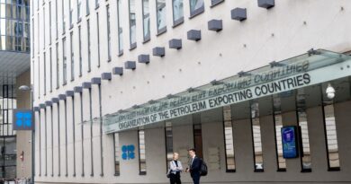 Pétrole : L'Opep a-t-elle encore une utilité après le départ des Emirats Arabes Unis ?