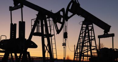 Pétrole : L’Opep + augmente ses quotas de production, Émirats pas évoqués