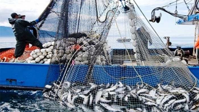 Ports méditerranéens : 11% de débarquements de pêche à fin avril