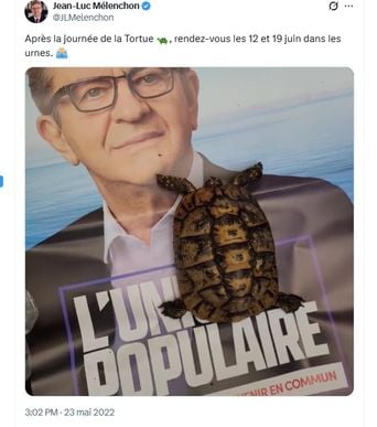 Présidentielle 2027 : Jean-Luc Mélenchon choisit la tortue comme animal totem.