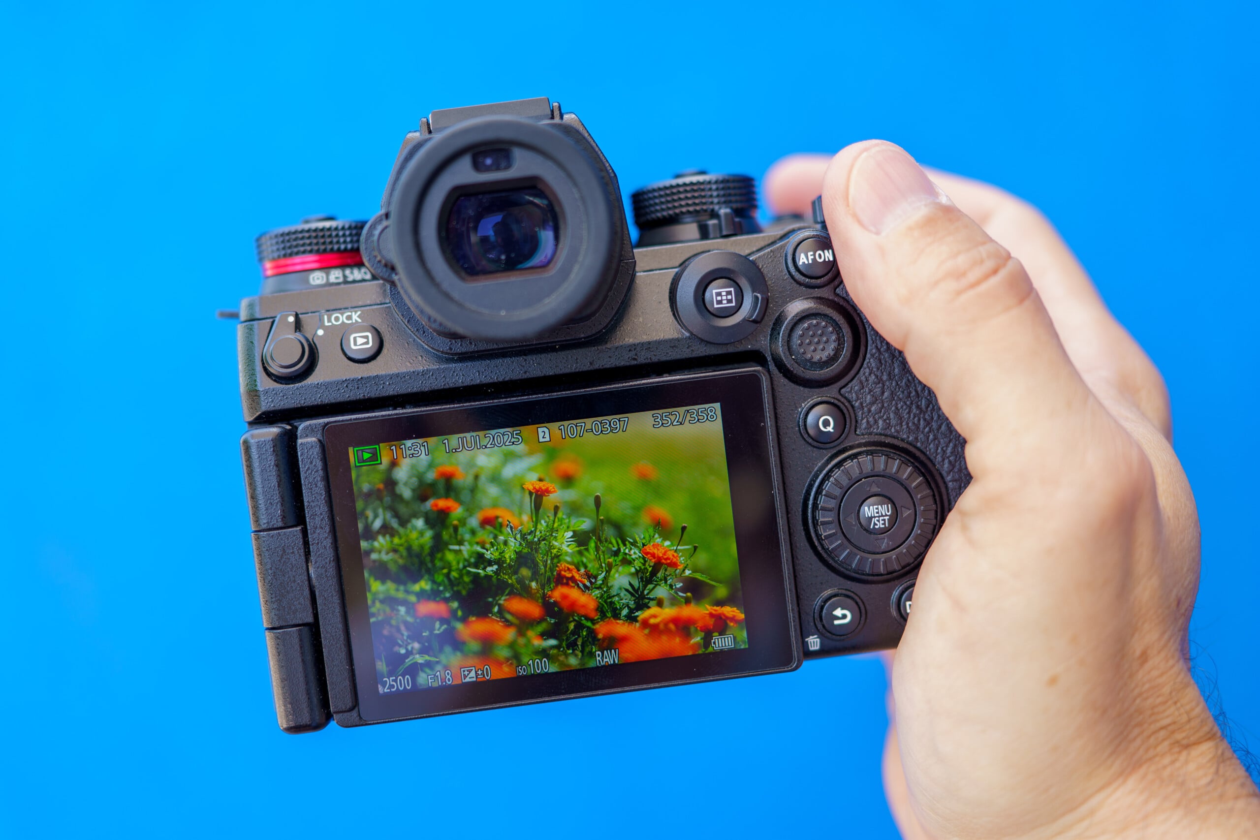 Panasonic S1 RII