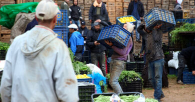 Réforme des marchés de gros en Tunisie : un plan en trois axes contre la cherté et l'informel.