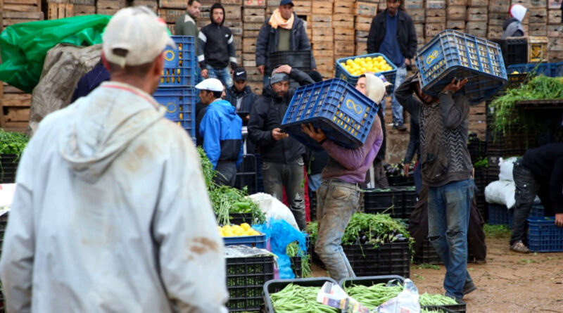 Réforme des marchés de gros en Tunisie : un plan en trois axes contre la cherté et l'informel.