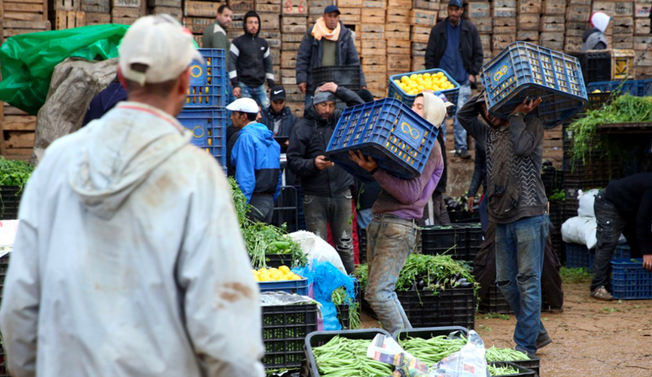 Réforme des marchés de gros en Tunisie : un plan en trois axes contre la cherté et l'informel.