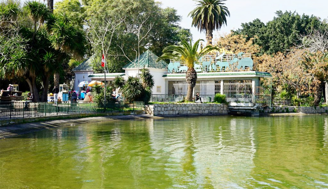 Retour des animaux et animations au Zoo du Belvédère à Tunis