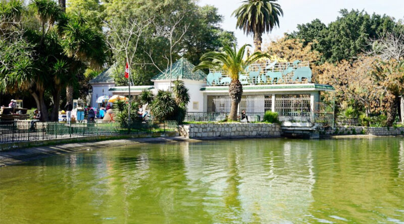 Retour des animaux et des animations au zoo du Belvédère à Tunis