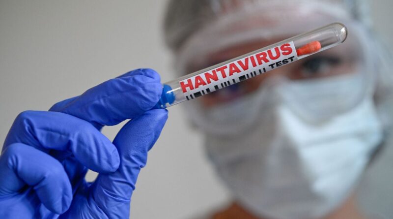 Retour en France ce dimanche des Français du navire hantavirus.