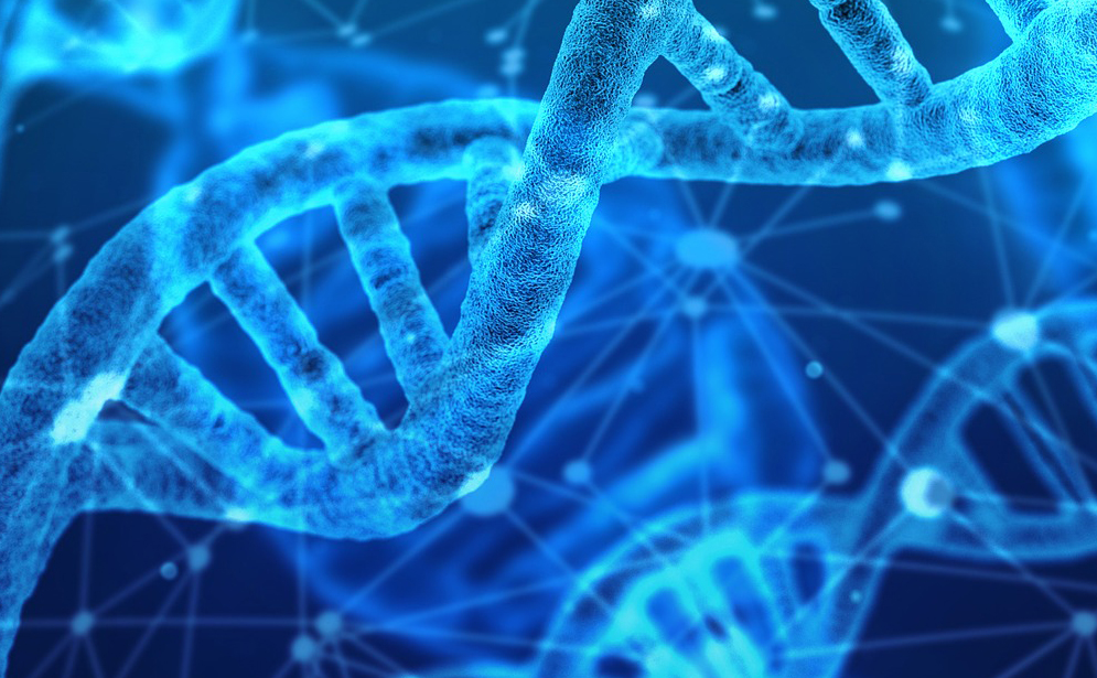 Révision en cours du code d'intégrité scientifique national