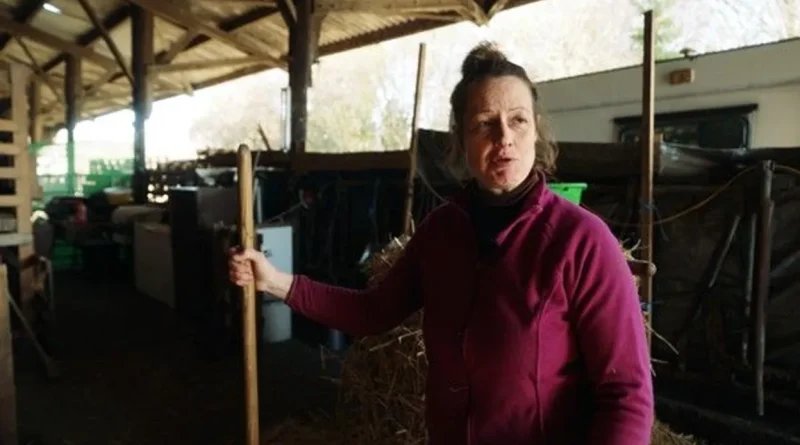 Saïda, éleveuse de chèvres, ne sort pas de sa 'grotte'