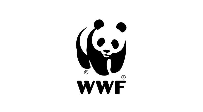 Saison estivale : Le WWF Afrique du Nord ne veut pas de dégradations des plages.