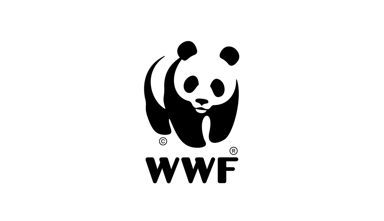 Saison estivale : Le WWF Afrique du Nord ne veut pas de dégradations des plages.